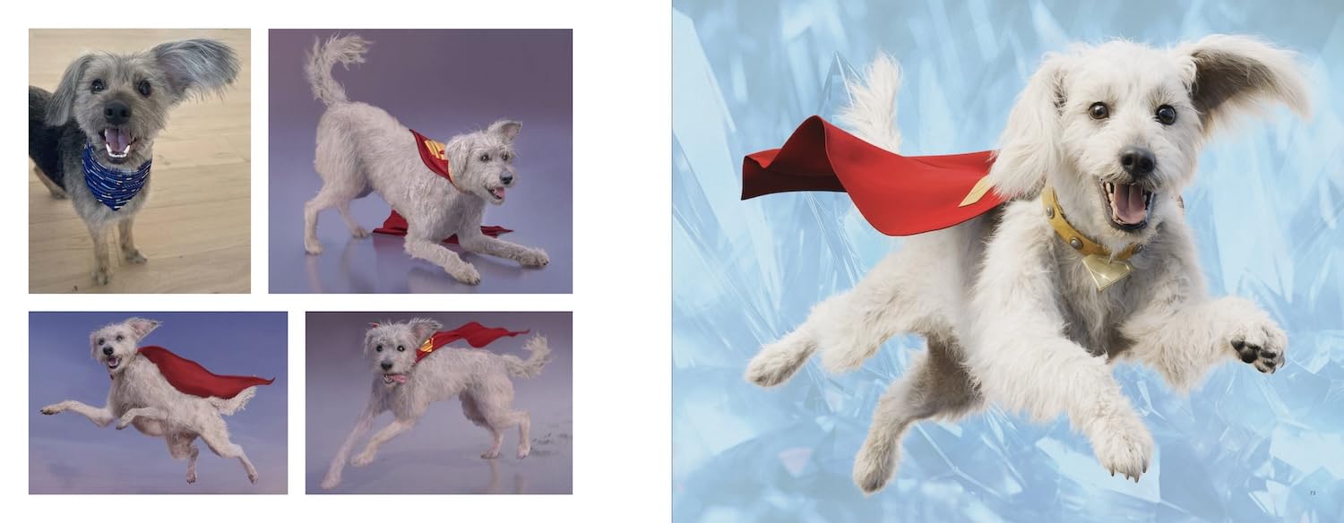 Superman the Art and Making of the Film
