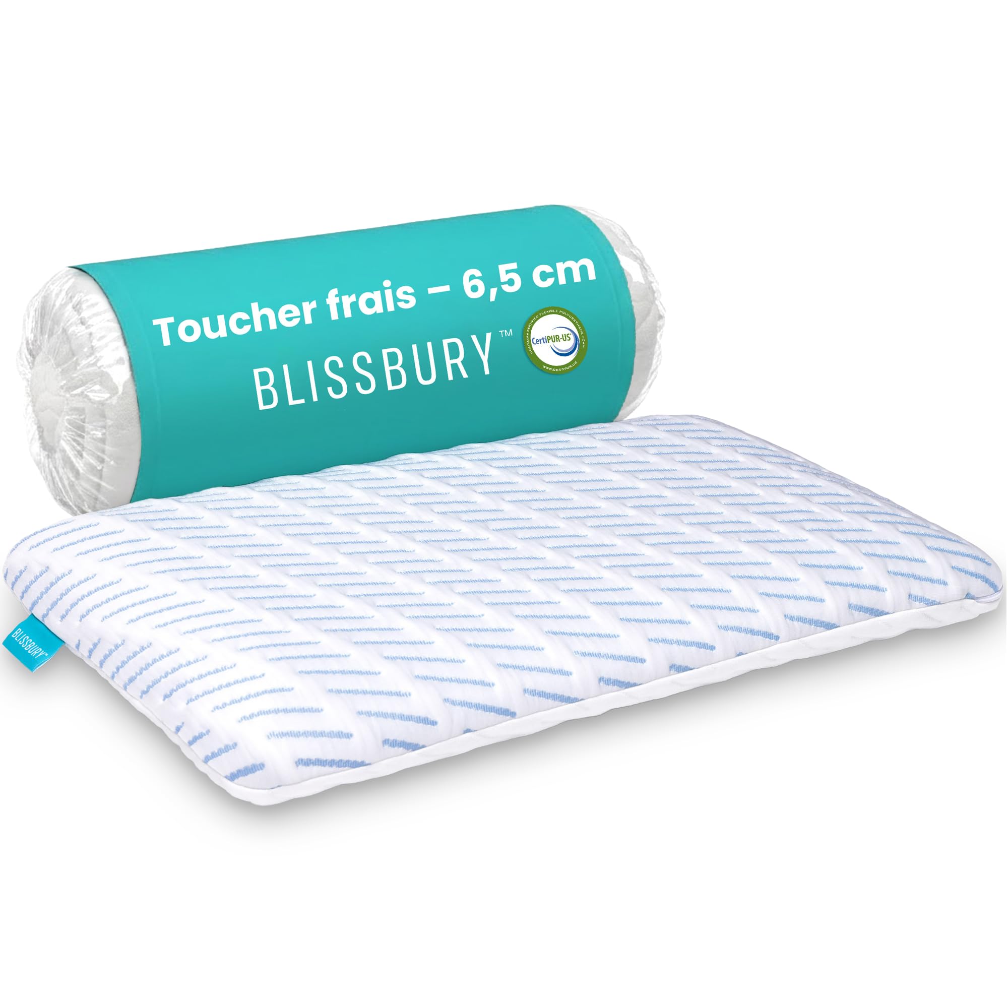 BLISSBURY Oreiller rafraîchissant en Mousse à mémoire de Forme – 6,6 cm d'épaisseur – pour Les dormeurs sur Le Ventre et Le Dos – Grand lit – Housse Amovible Cool-Tech certifié CertiPUR-US