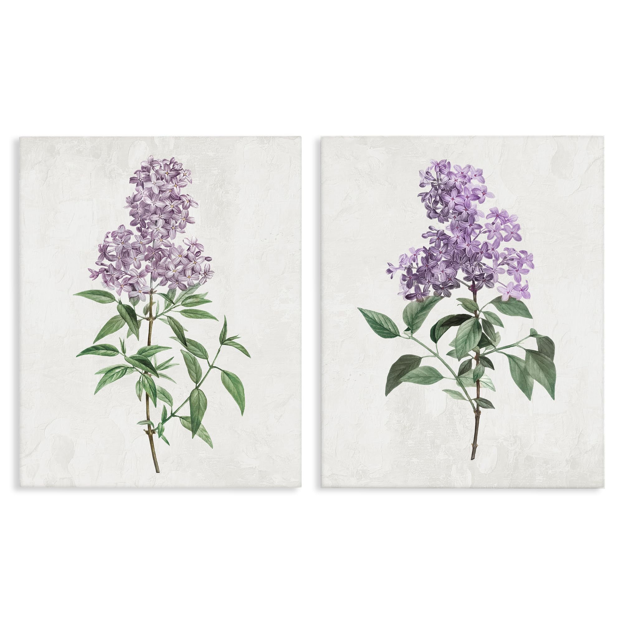 Stupell Industries French Country Lilac Blooms Floral Herbaceous Lilac Blooms, 24 X 30 Inch Canvas Wall Art Set