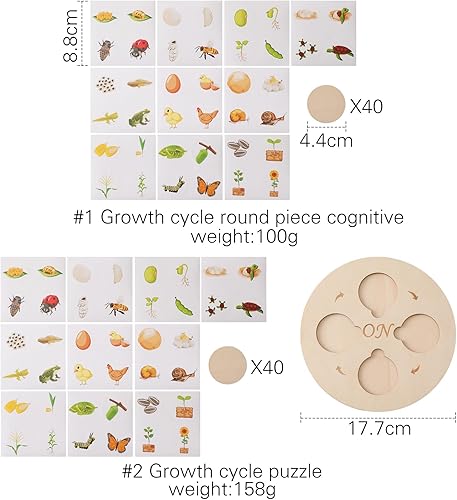 Miniatura 7 de Bandeja de juguetes de madera para el ciclo de vida, ranas para niños, mariposas, pollos, 40 piezas, tablero de rompecabezas de actividades de