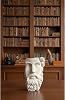 ZEROXO Dekoratif Filozof Büstü - Marcus Aurelius Tasarımlı Heykel Biblo - Masa ve Kitaplık Dekoru Beyaz 10 x 15