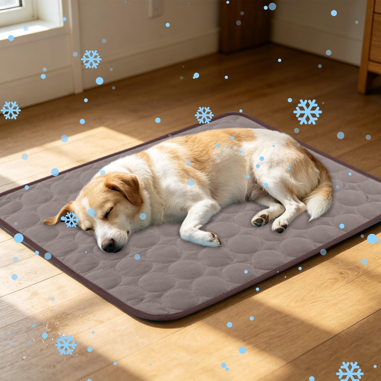 Pet Cat Dog Cooling Mat, Cooling Blanket Mat for Dogs Cats, Medium Reusable Dog Indoor Home Travel Essentials Mats Extra Large Easy-Fold Pet Cool Pad, Self Cooling Pad in Hot Summer Cool Pad Puppy