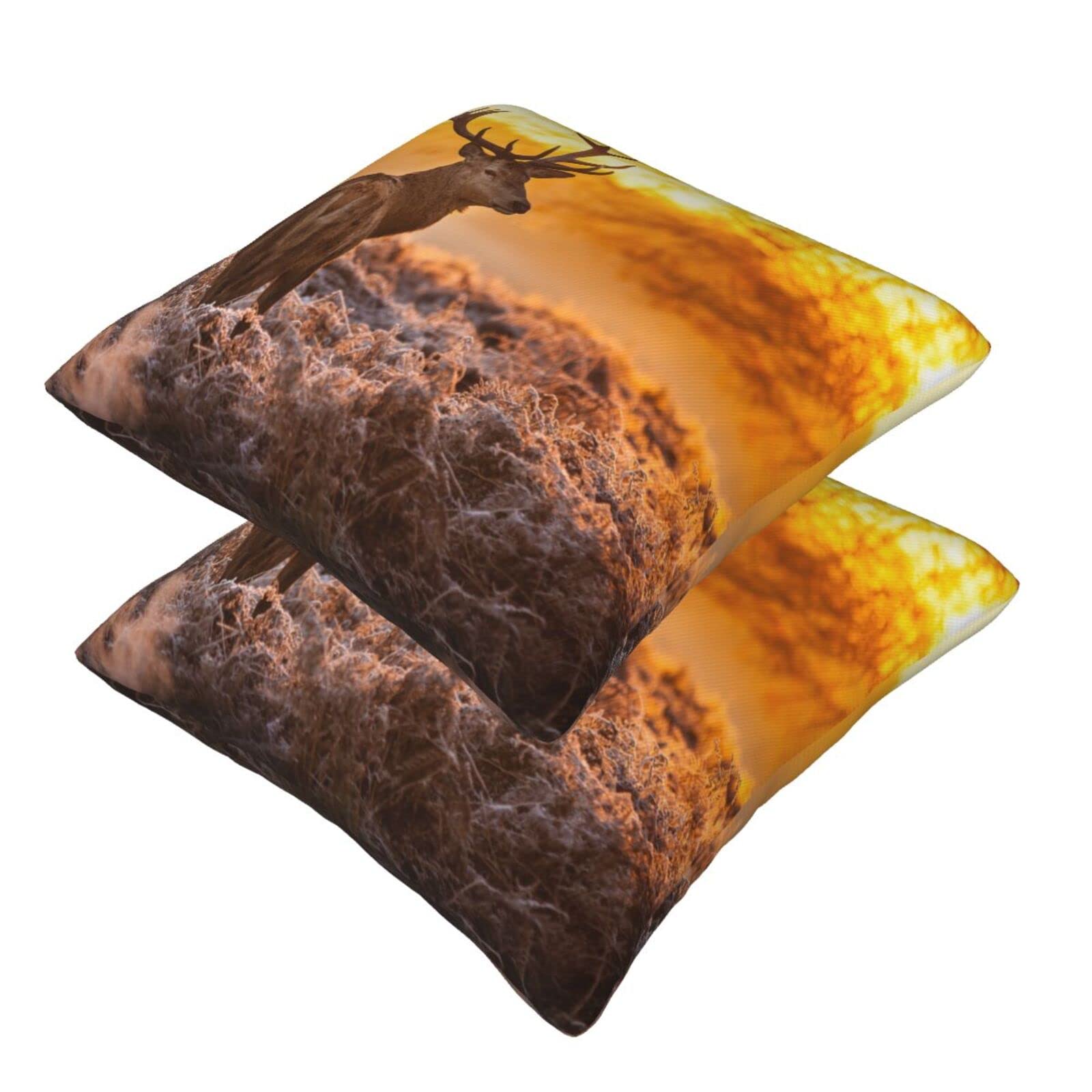 Set Di 2 Federe Cuscino 50x80 Cm - Lino Doppia Faccia, Impermeabile, Con Cerniera Nascosta, Per Divano, Giardino E Decorazioni Casa
