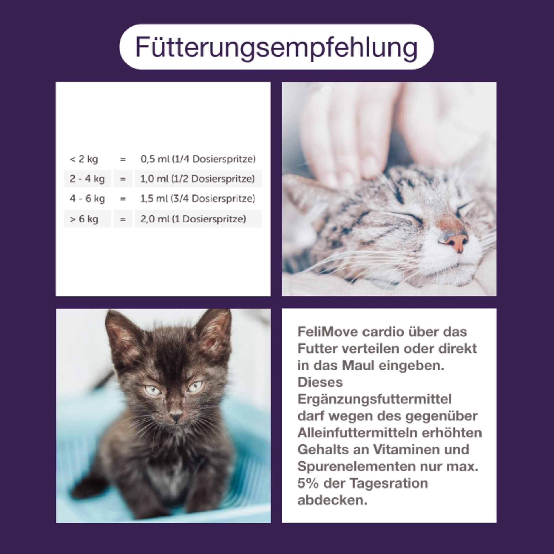 dental - Liquid für Katzen mit Vitalpilzen, Propolis, EPA und Zink (auch bei FORL, Entzündung oder Rötung des Zahnfleisch verträglich)