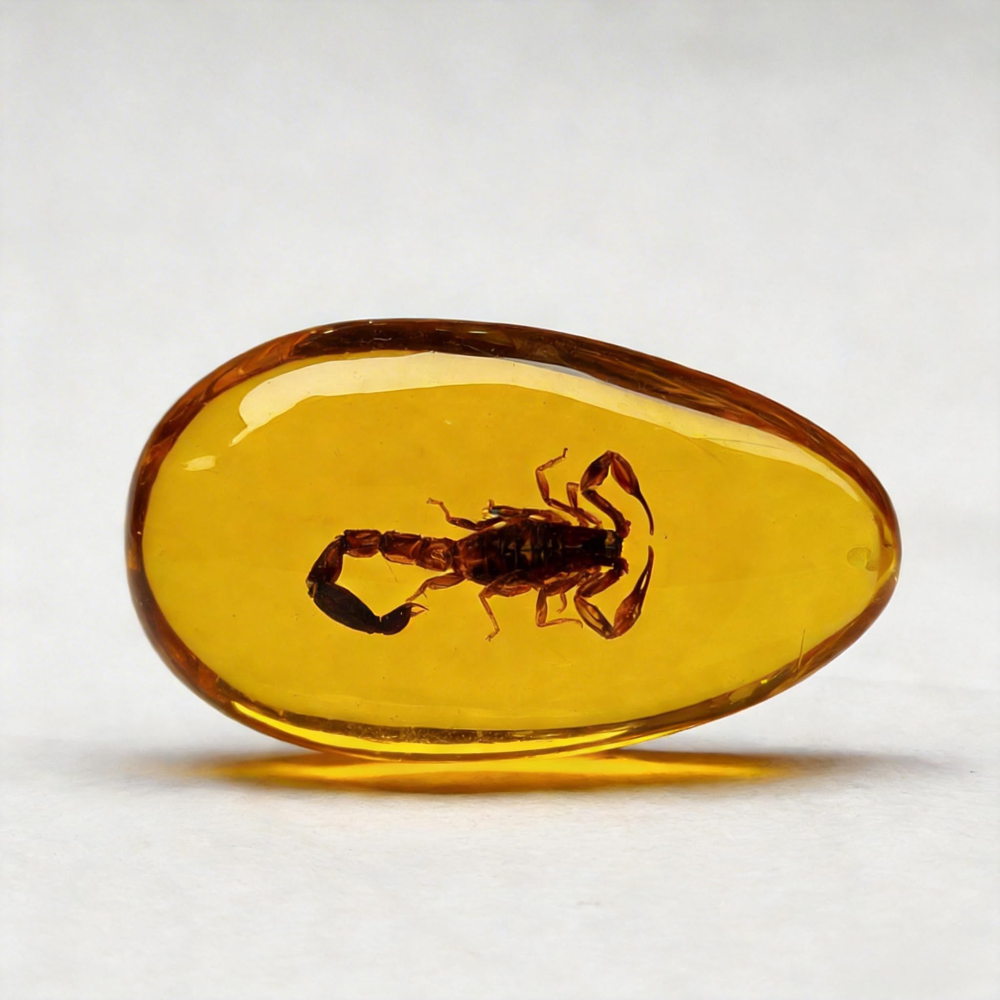 Resin Amber Insect Specimen — Dragonfly/Butterfly/Cicada/Scorpion/Beetle/Wasp/Crab/Centipede Replica, 8 x 4 cm Educational Display & Collectible, Lemon Yellow Paperweight (Scorpion)