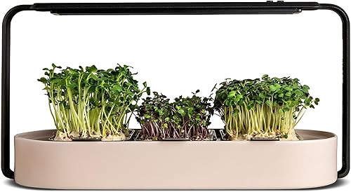 Miniatura 10 de ingarden Superfood Microgreens - Kit de cultivo para interiores con 3 bandejas de semillas de iniciación y luz de cultivo, jardín interior