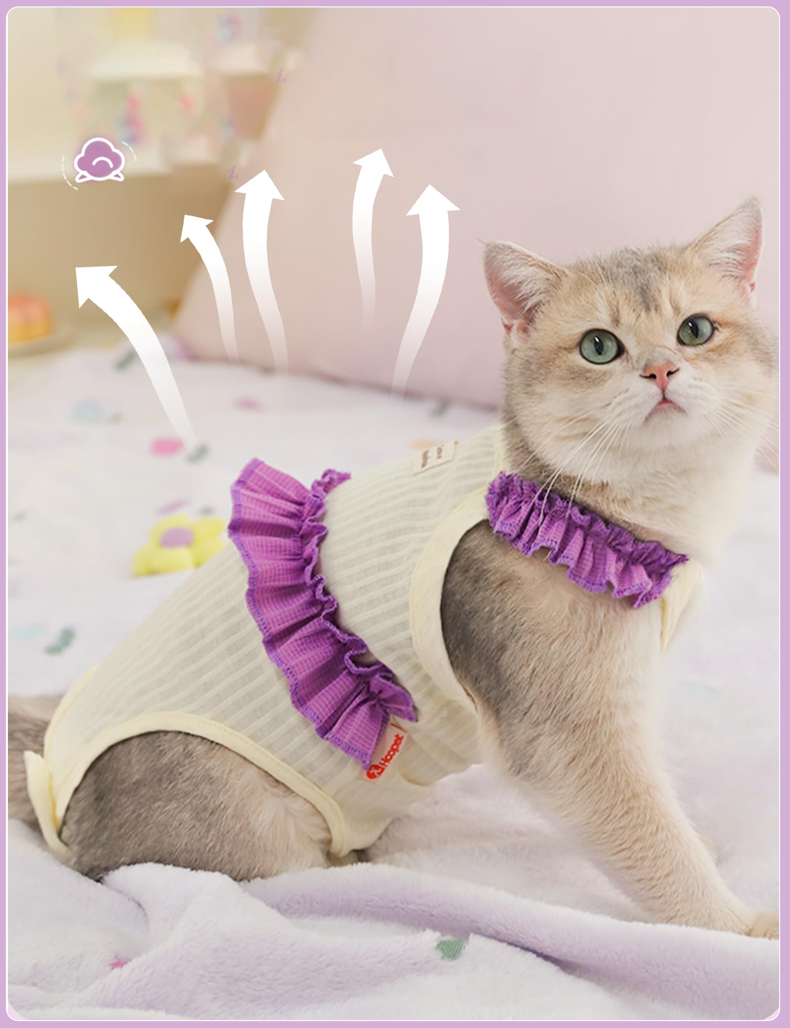 After Birth Can You Spay A Nursing Cat How Long After Giving Birth