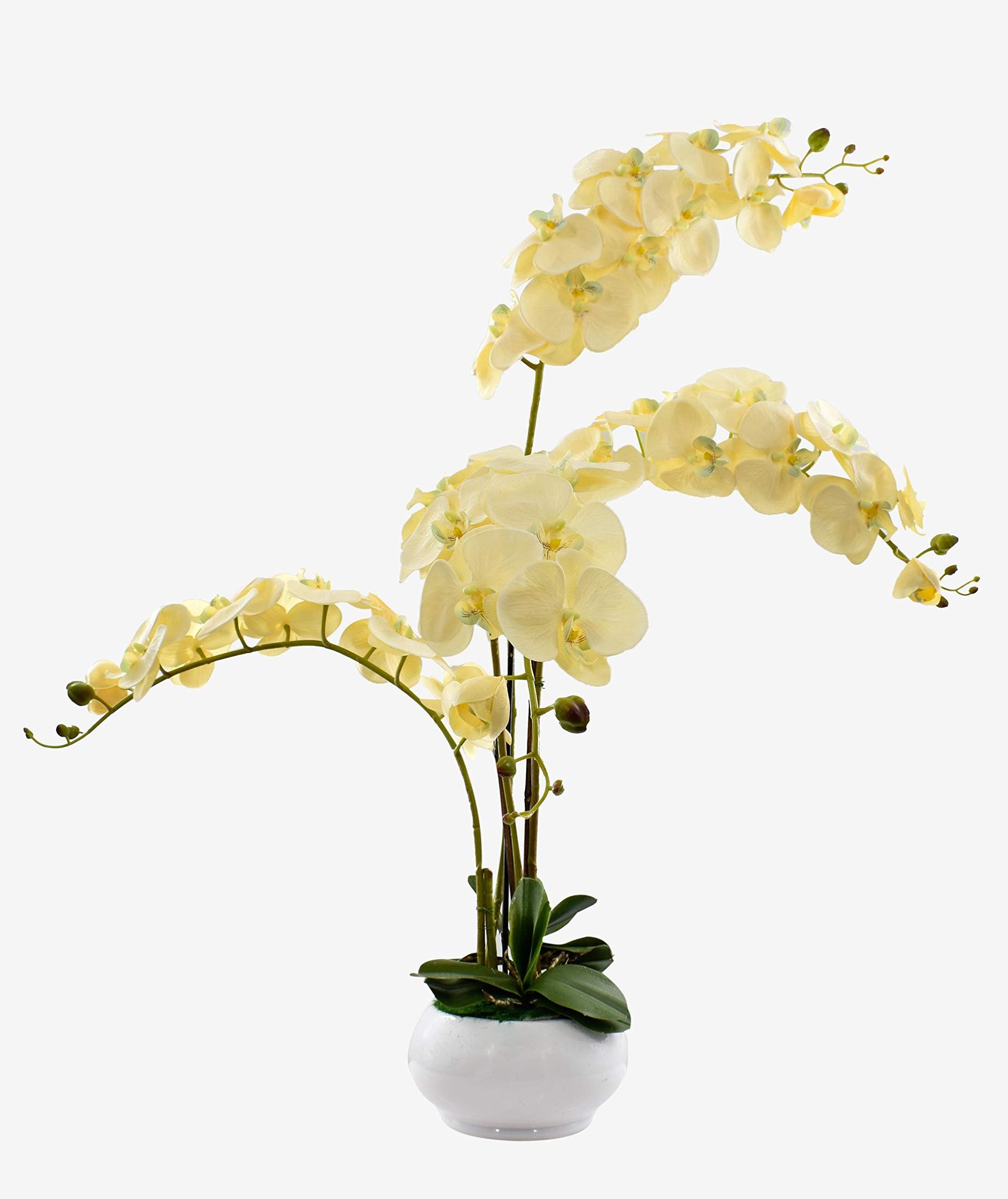 YATAI Artificial Orchid Flower Arrangements, Realistic Lifelike Phalaenopsis Orchids with Petals & Green Leaves, Long-Lasting & Maintenance-Free Faux Flower Bouquet for Gift Home Event Decor, Cream