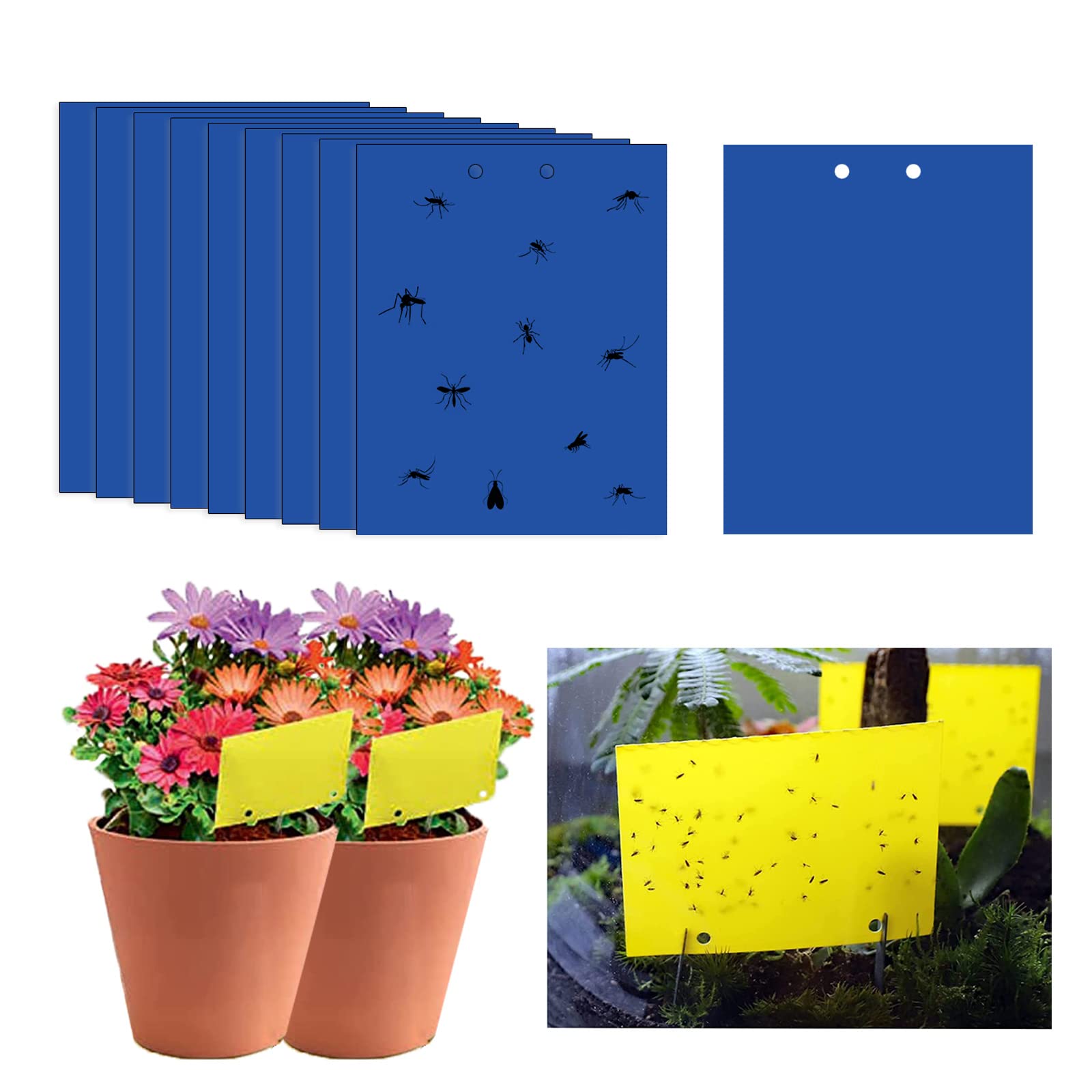 Sticky Fly Traps, 25 * 30cm Blue Fly Paper Stickers, Fungus Gnat Traps Insect Trap, Sticky Fly Catchers Dual-Side For Insect Against Fungus Gnats, Whiteflies, Aphids