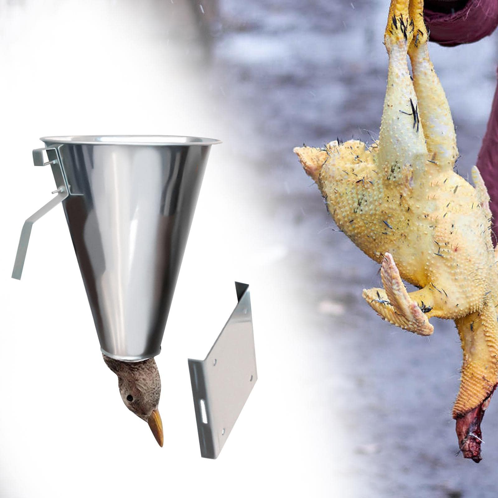 Cono macellazione Pollo in Acciaio zincato per Un ' efficiente Lavorazione del pollame Domestico in Fattoria Strumento macellazione del pollame per l ' Azienda agricola