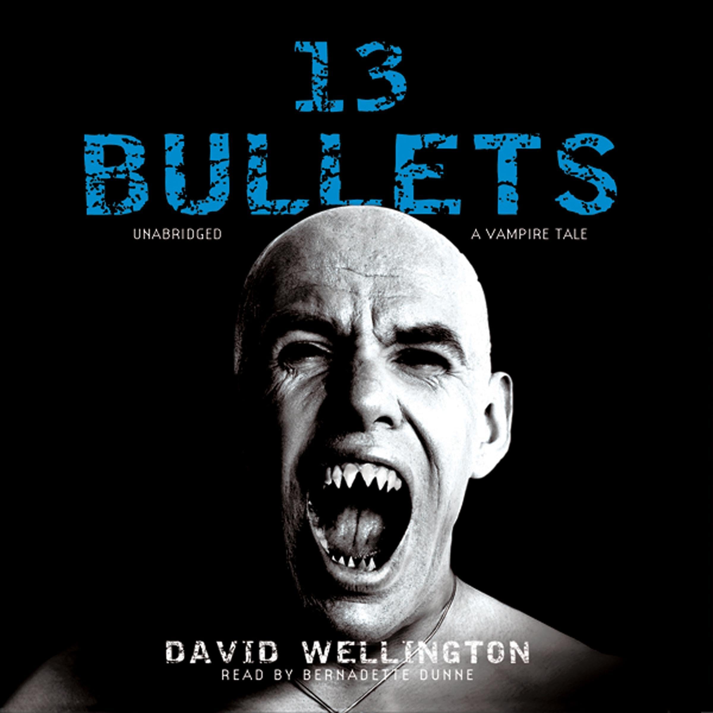 Cover art for 13 Bullets