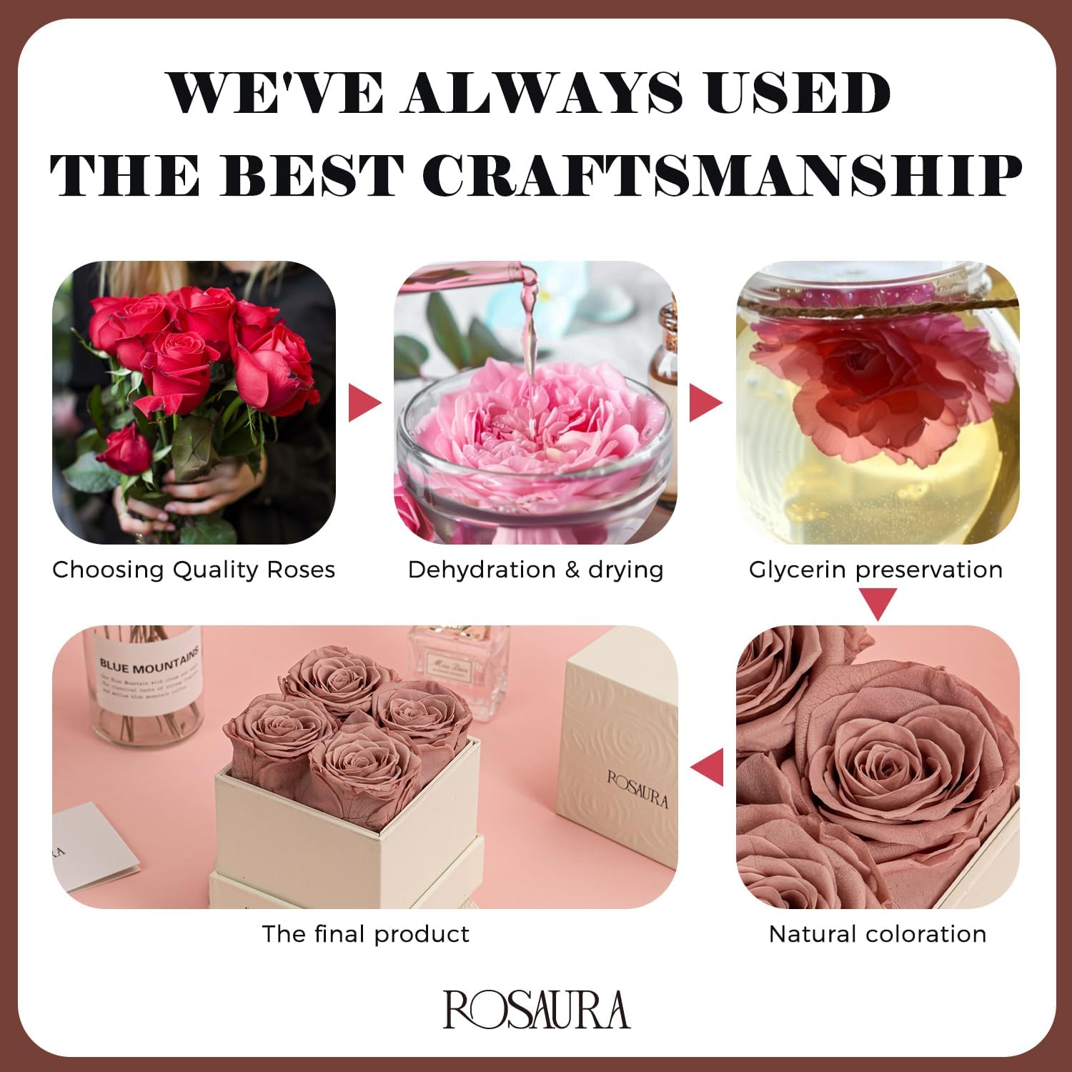 Rosaura 4-Piece Eternal Preserved Roses & Flowers Gift Box - Forever Lasting Real Roses, Preserved Flowers for Valentine's Day Cappuccino - Image 7