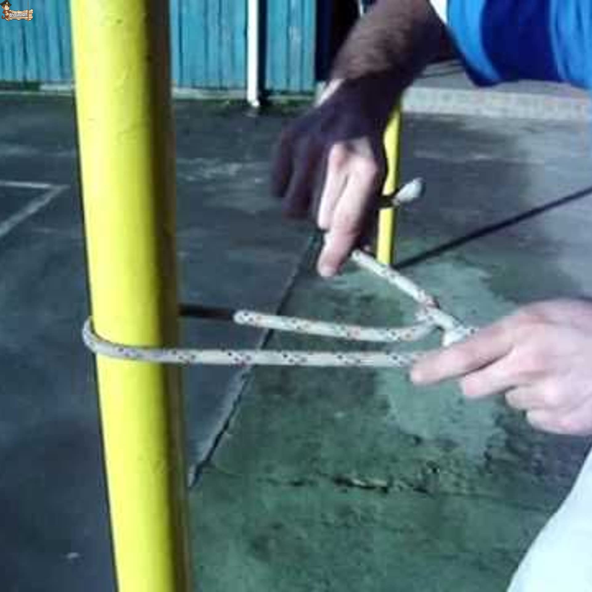 BricoLoco.com Cuerda driza Nylon Trenzada. SOGA Fibra sintética de Nylon. Cabo Amarre, Agricultura, ganadería, construcción, decoración, Crossfit. Alta Resistencia. (50, Ø 8 mm.)