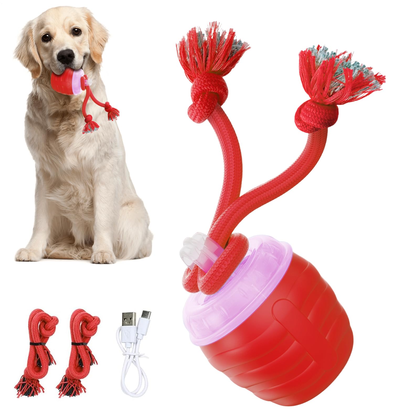 Balle interactive pour chat et stimulation mentale pour chien intérieur