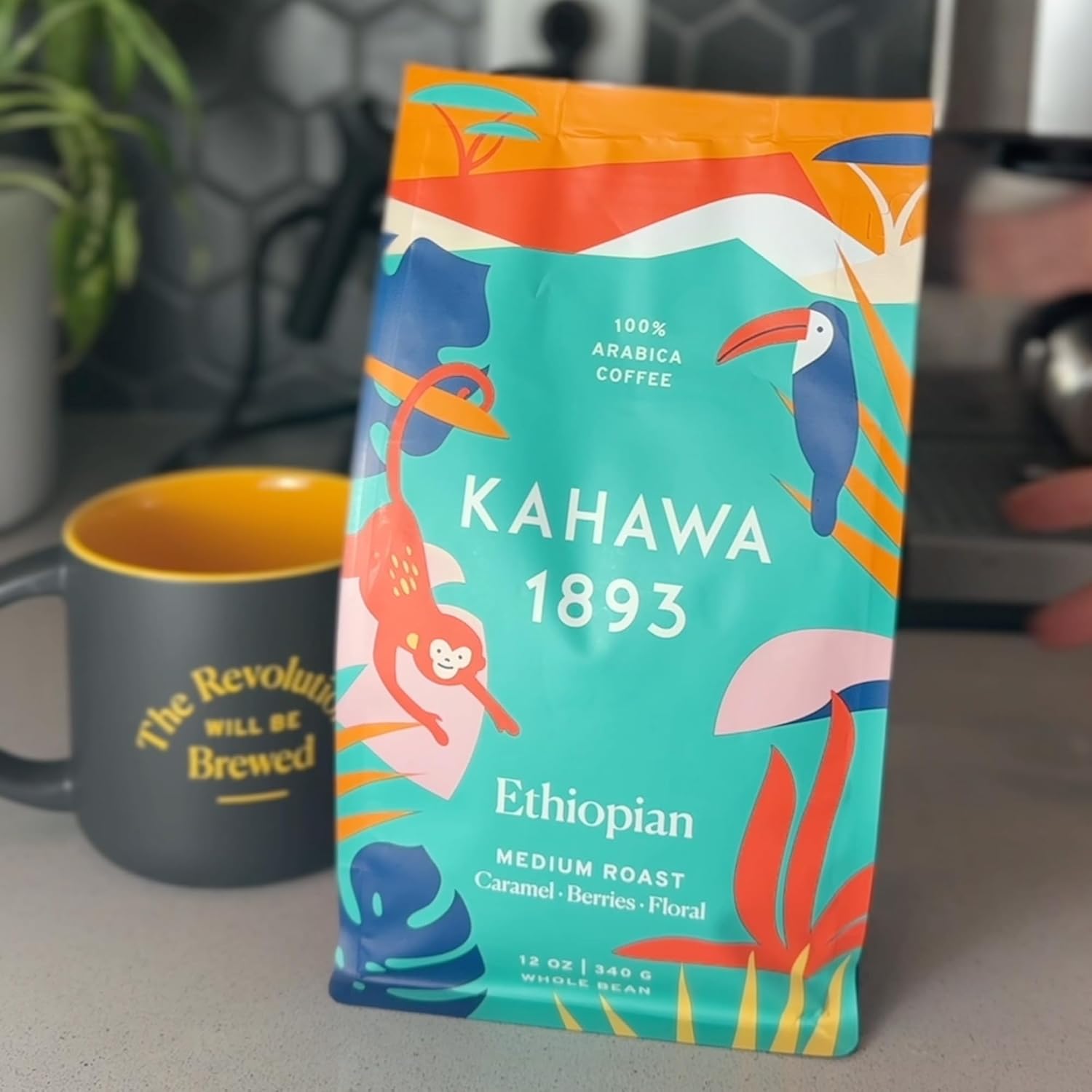 Kahawa 1893 Whole Bean Coffee Combo Pack Kenyan & Ethiopian Blend (12 Oz x 2) - As Seen on Shark Tank, High Antioxidants, Naturally Sweet, Organically Grown, Ethically & Sustainably Sourced