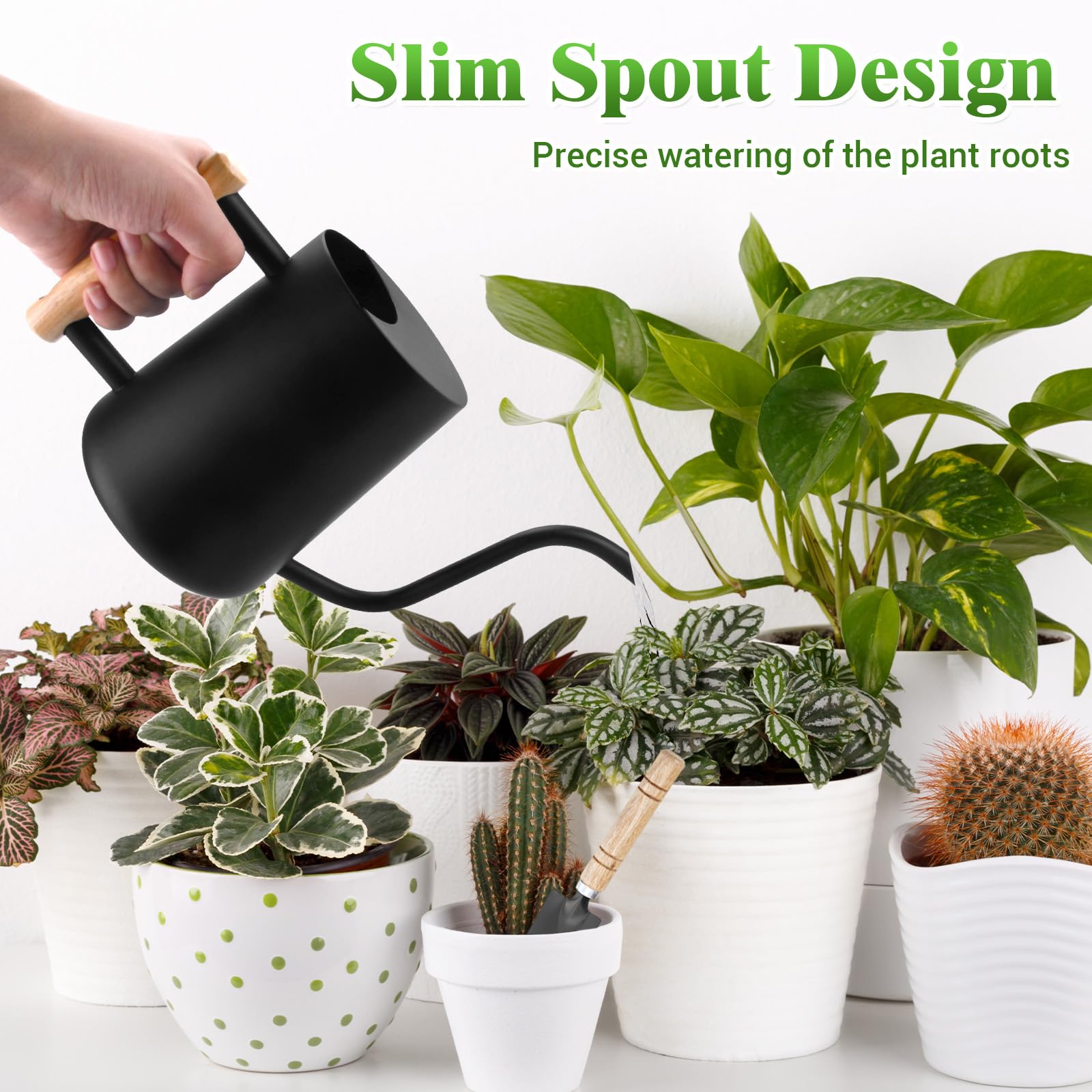 Regadera Pequeña de 1L,Regadera para Plantas de Interior con Caño Largo y Pequeñas Herramientas de Jardinería,Mango de Madera,Regaderas de Acero Inoxidable para Plantas en Maceta y Suculentas
