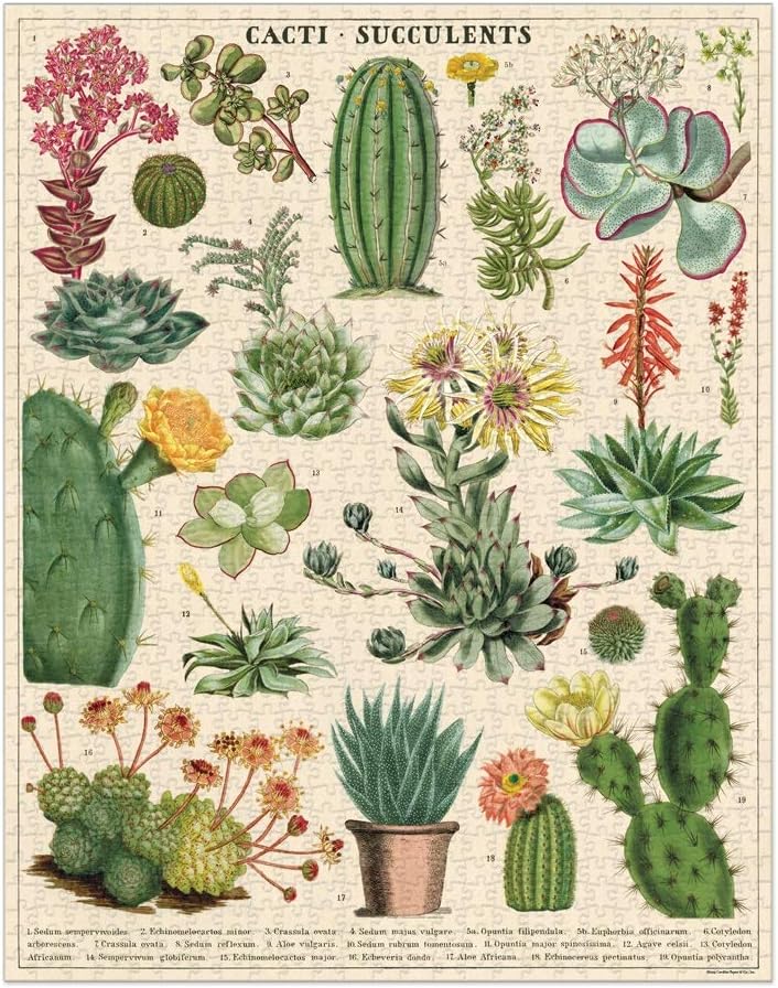 Cavallini Papers & Co. PZL/SUC Cacti & Succulents 1,000 Piece Puzzle, Multi, 1000
