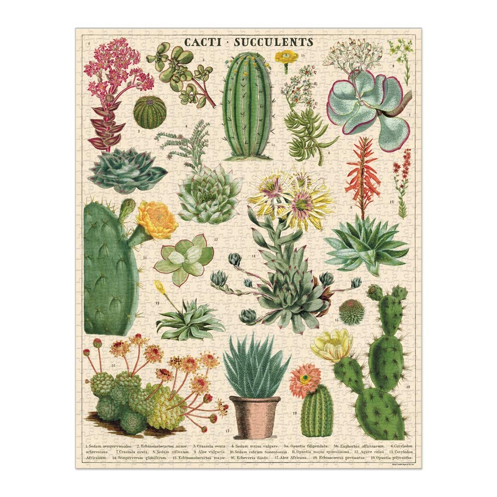 Cavallini 1000 Piece Puzzle, Cacti and Succulents (PZL/SUC)