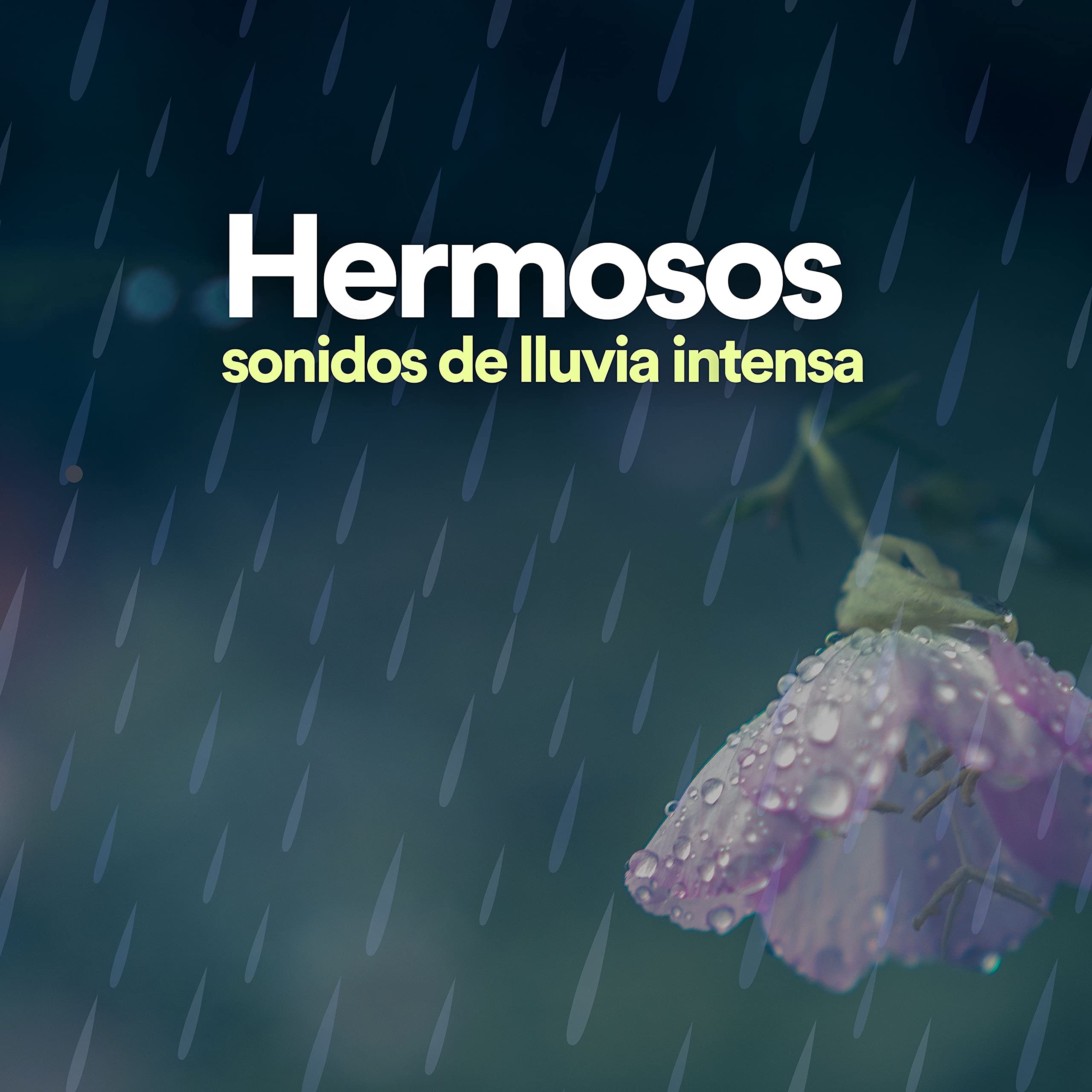 Sonidos de lluvia de la ciudad