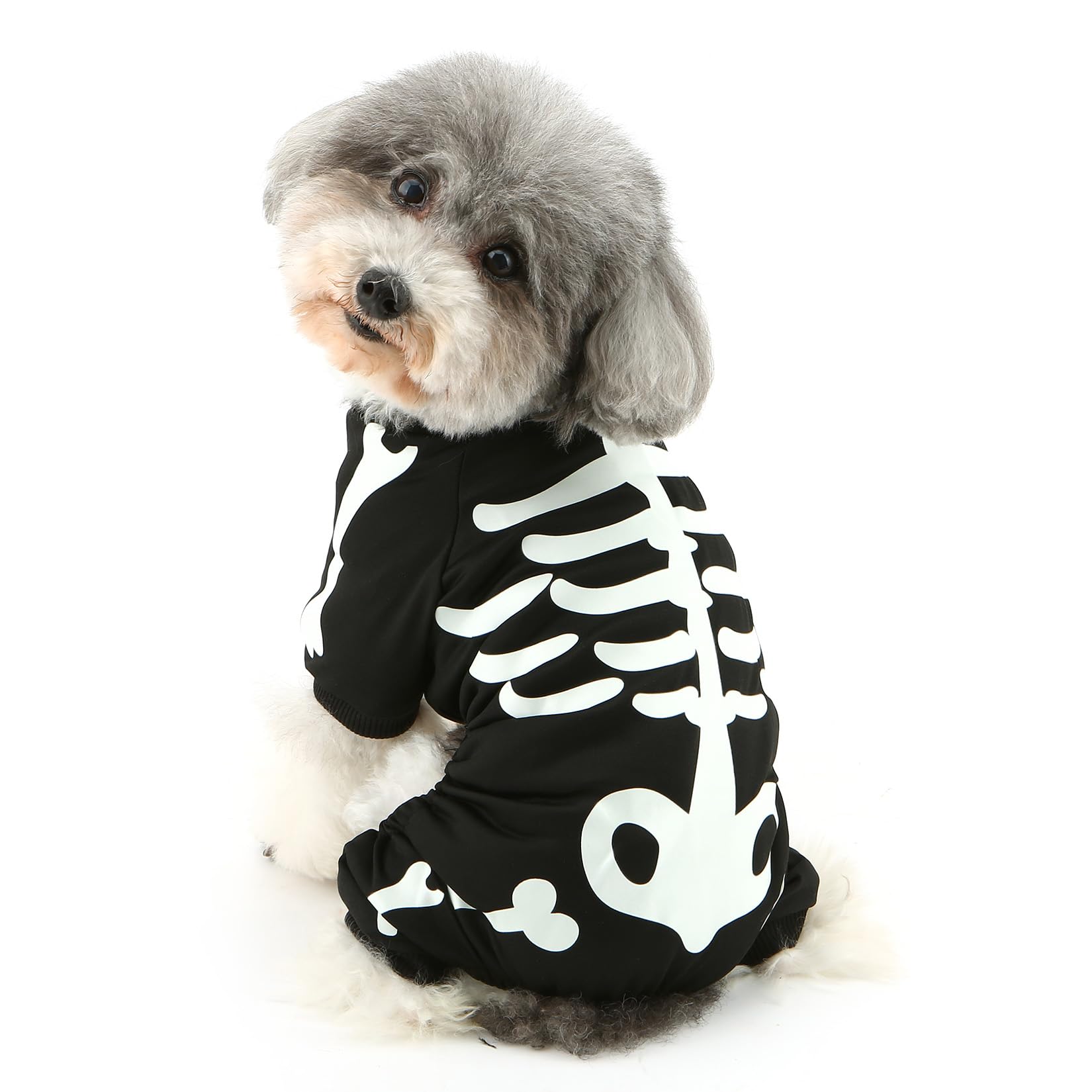 Ranphy Dog Halloween Costume Scary Skeleton Jumpsuit Shirt for Small Dog Glow in the Dark Puppy Pajamas Onesie Yorkie Chihuahua Festival Party Cosplay Clothes Cat Clothing Black,L - Image 3