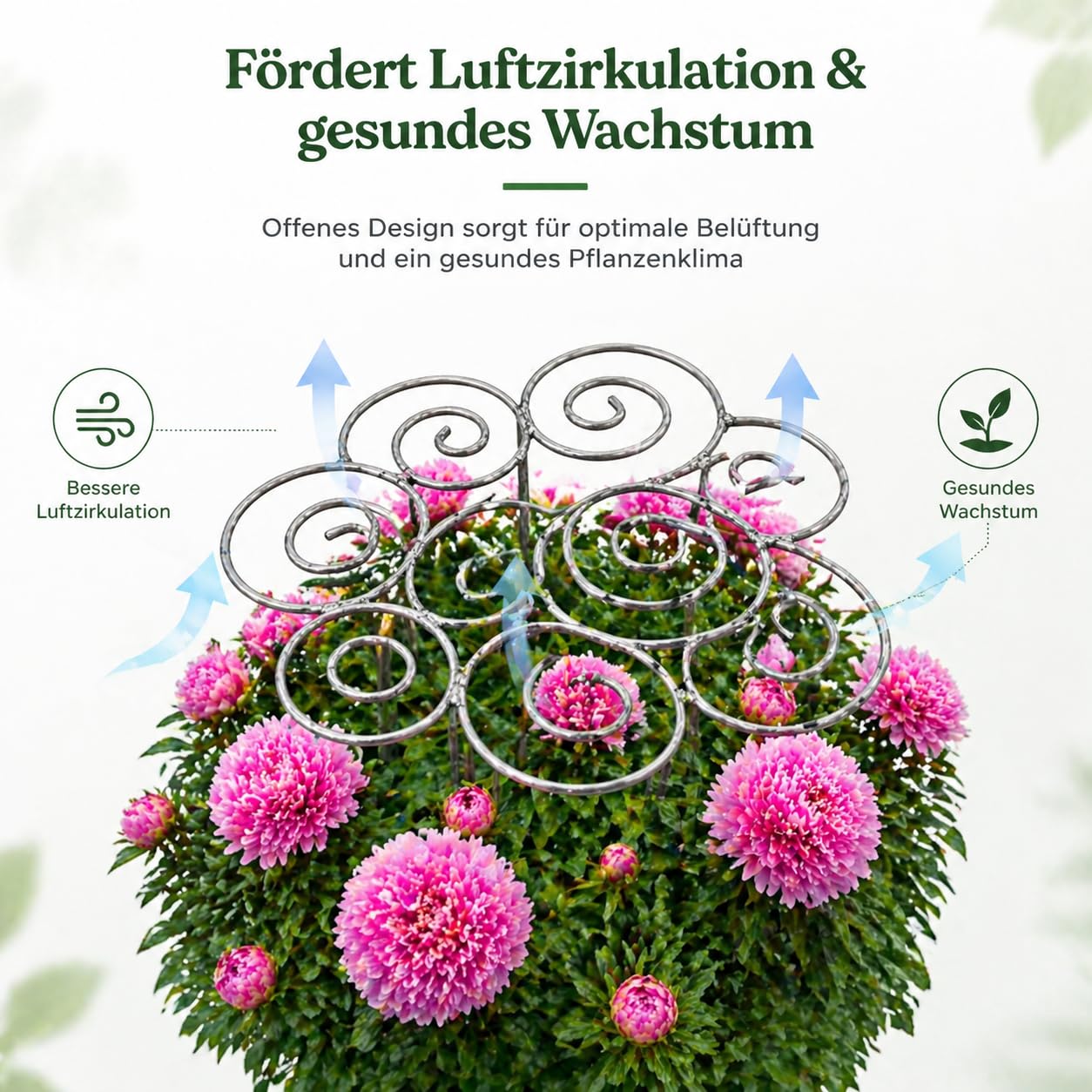 Pflanzenstütze für Pfingstrosen – Metall Pfingstrosen Halterung, Wetterfester Staudenhalter als Rankhilfe, Schwere Ausführung für große Blüten, Pflanzstützring für Rosen, Hortensien, Tomaten (L)