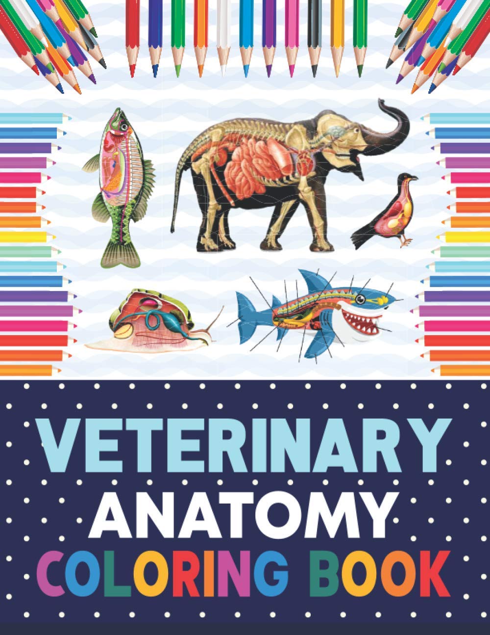 Buy Veterinary Anatomy Coloring Book Animal Anatomy and Veterinary