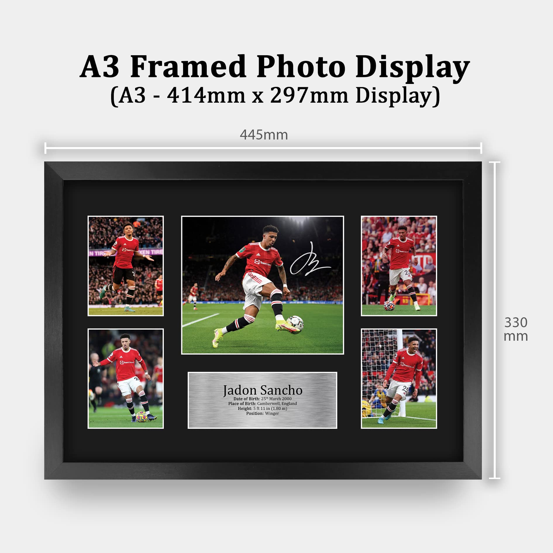 HWC Trading FR A3 Jadon Sancho Exhibición Firmada De La Fotografía Del Autógrafo De Los Recuerdos Impresos Para Los Aficionados Y Los Partidarios Del