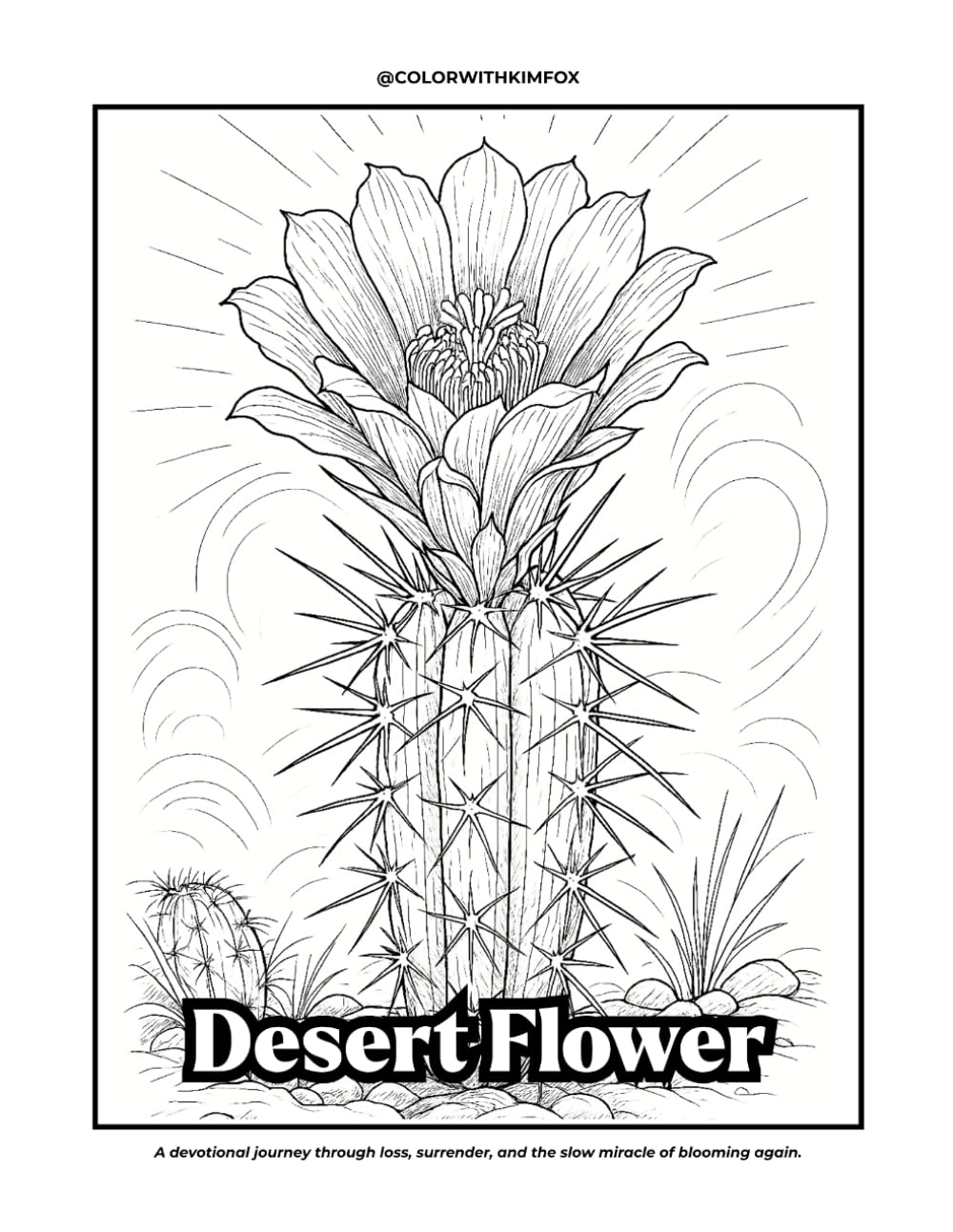 Desert Flower: A devotional journey through loss, surrender, and the slow miracle of blooming again.