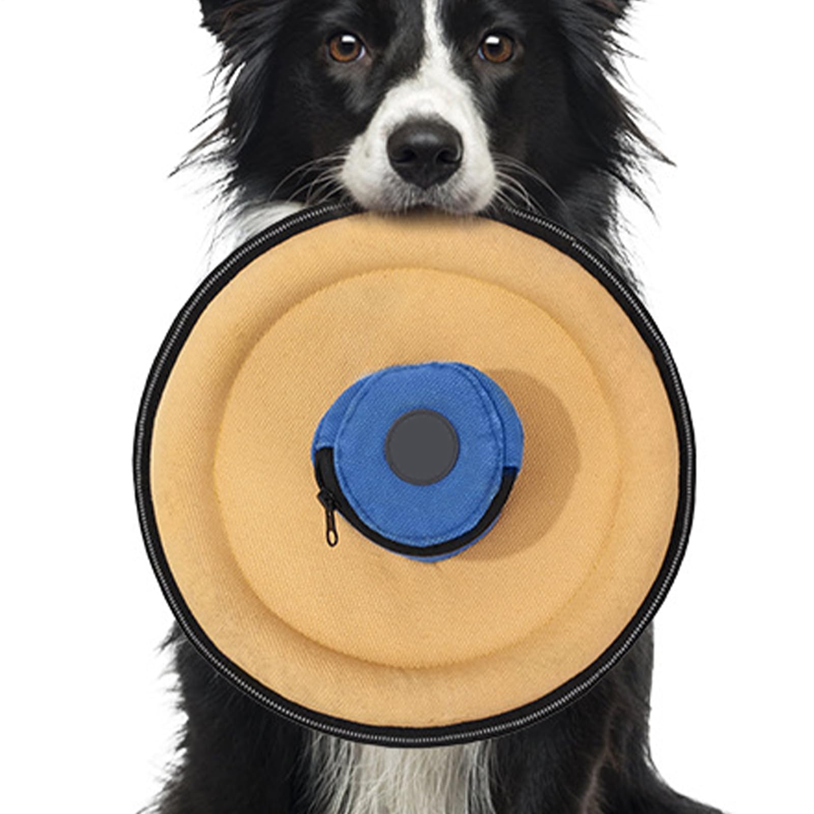 Disques volants pour chiots et chiens avec sac à friandises intégré en toile toutes tailles