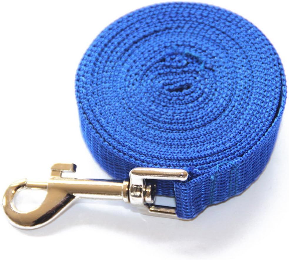 attrezzatura da caccia per cani