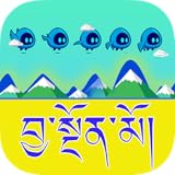 Scores Tibetan Flying Blue Bird