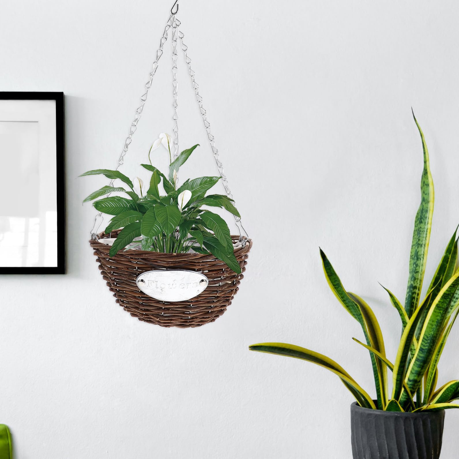 SOLUSTRE Fioriera Sospesa in Rattan e Metallo 2 Pezzi, Cesto Appeso Medio 25 Cm per Piante da Interno ed Esterno, Decorazione da Giardino per Casa, Balcone e Ufficio