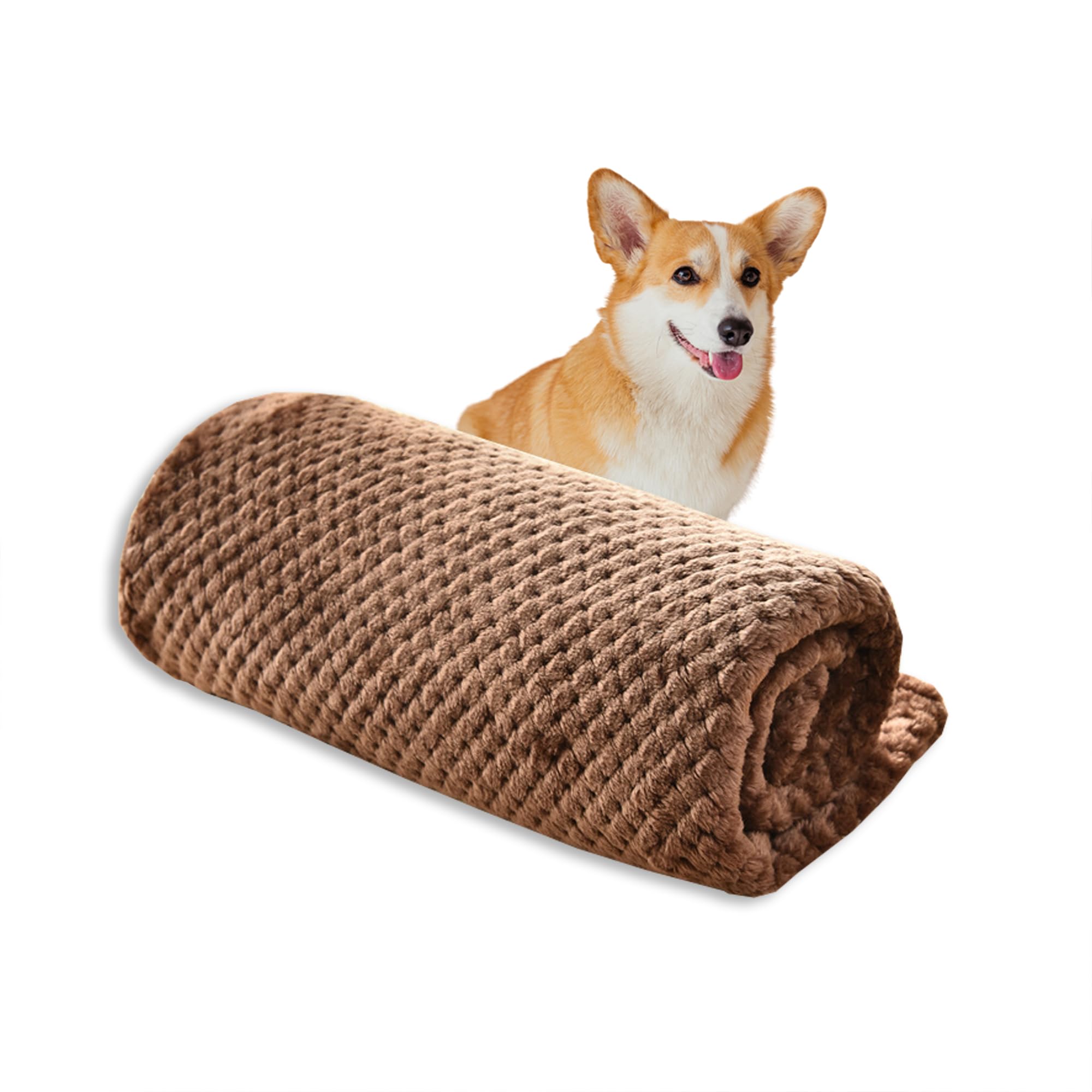Lot de 2/4 couvertures douces pour chien et chat de petite et moyenne taille - Couvertures lavables pour canapé, lit, voiture - Couvertures pour animaux de compagnie (café, 4 pièces, 100 x 80