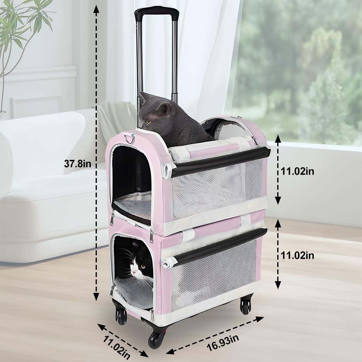 https://m.media-amazon.com/images/I/71XrdKIjKPL._AC_SL1200_.jpg