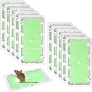 Qualirey 10 Pack Mouse Glue Trap, Extra Strong Sticky Traps for Mice and Rats, Pre-Scented, High-Efficiency Mouse Glue Boards, Rodent Sticky Pads Indoor for Home, Easy to Use