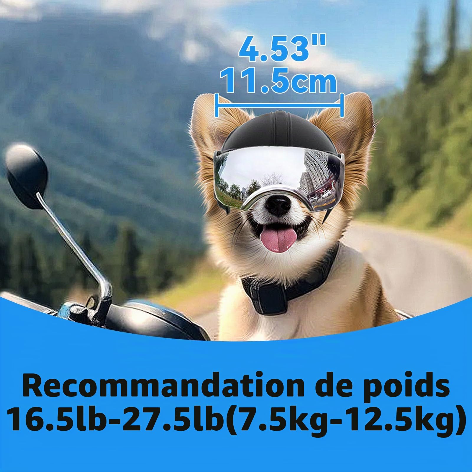 Enjoying Casque et Lunette Moto Chien, Protection UV, Casque pour Chien, Anti-Sable, pour Chiens de 7,5 à 12,5 kg, Verres Argentés