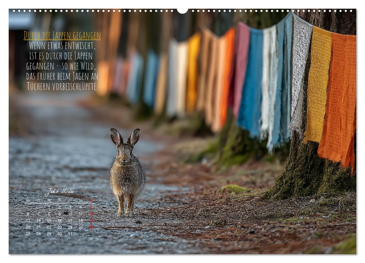 Nicht 08/15 - Deutsche Redewendungen und ihre Herkunft (hochwertiger Premium Wandkalender 2026 DIN A2 quer), Kunstdruck in Hochglanz: Familienkalender ... Sprüchen und Humor. (CALVENDO Wissen)