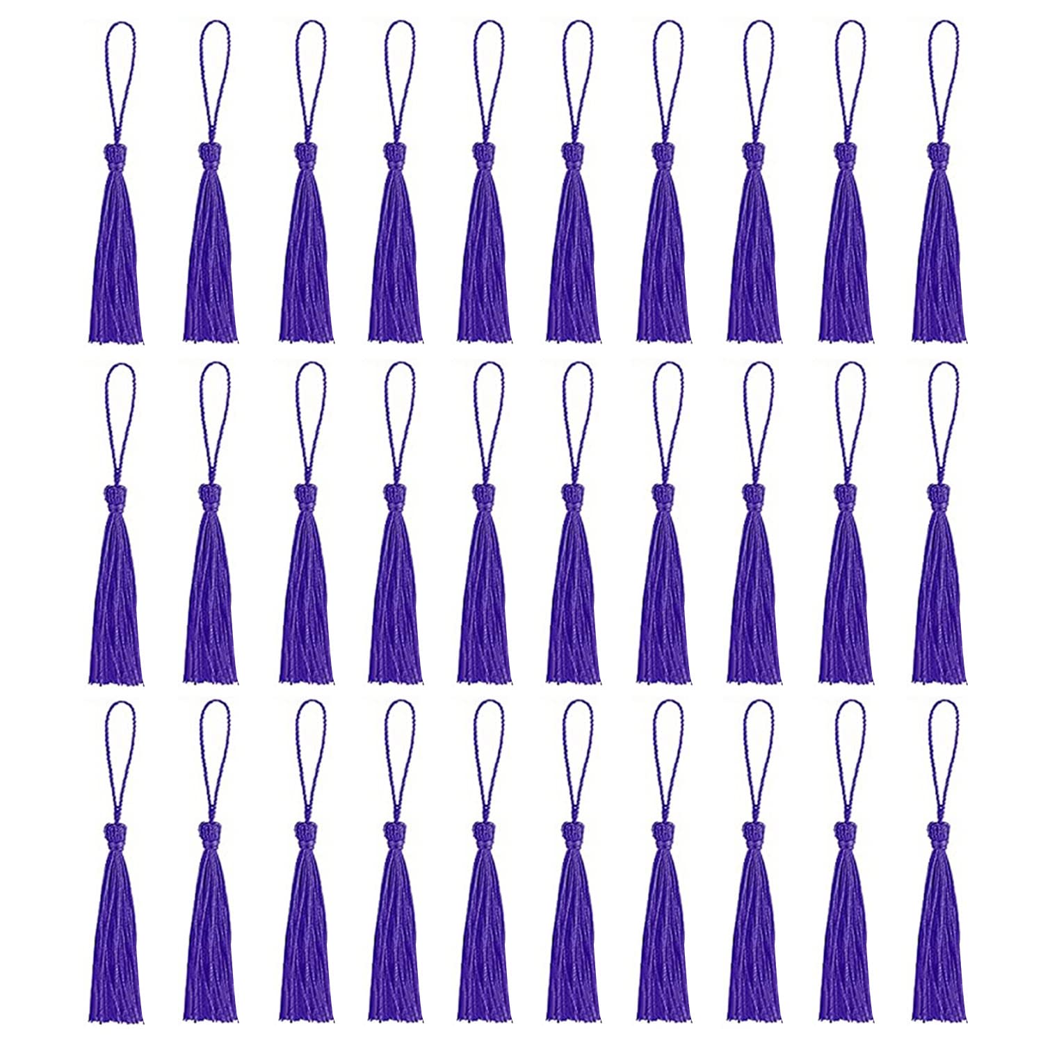 Amdonalo 30 PCS Bookmark Tassels, Mini Tassels Silky Tassels for Bookmarks Handmade Bookmark Tassels for Resin DIY Craft Supplies and Home Decor (Purple)