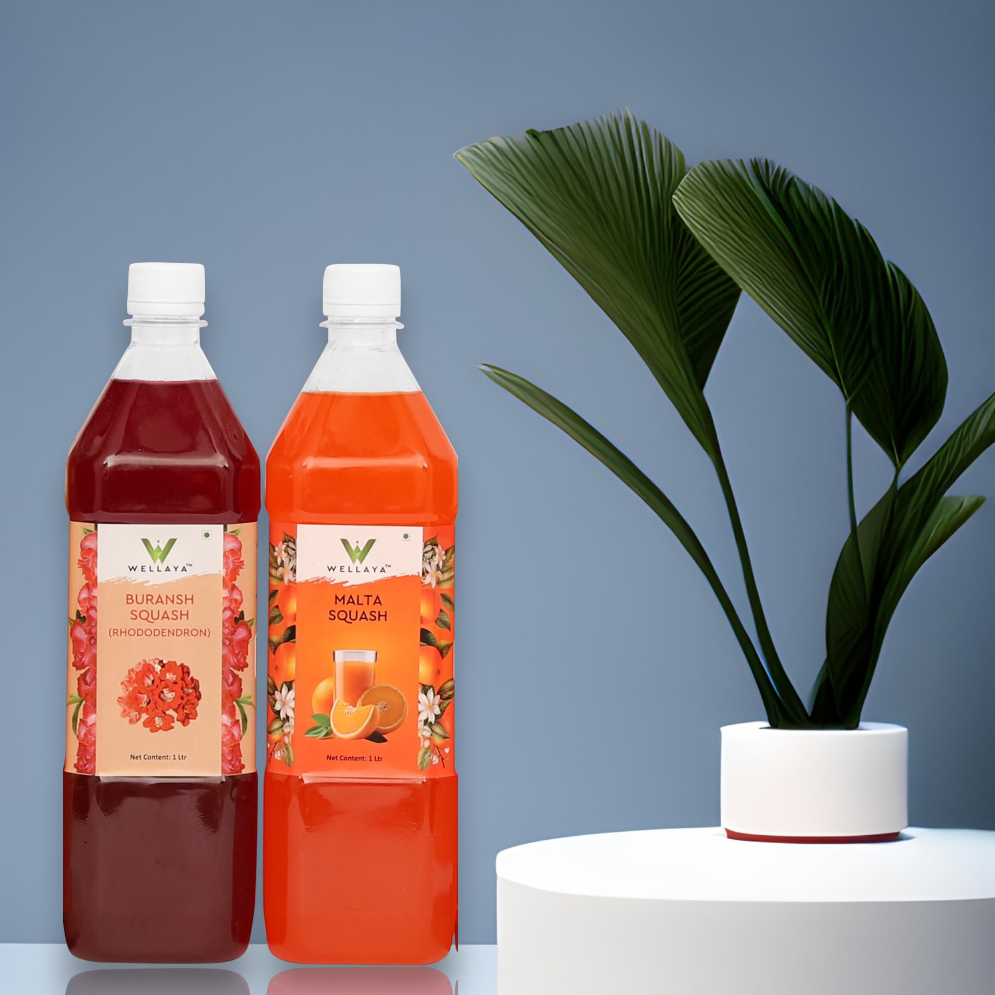 Wellaya Malta (Himalayan Sweet Orange) + Buransh (Rhododendron) | Squash, Syrup, Sharbat | Concentrate | No Artificial Flavours & Color | Welcome Drink | Sharbat | summer cooler | (1+1 Ltr) 4