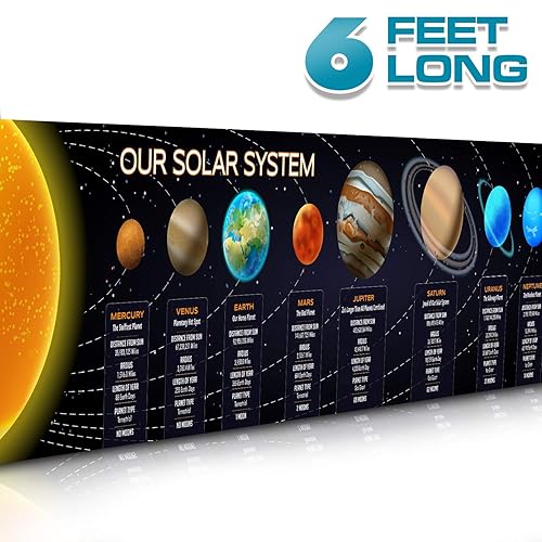 Science Classroom Decoration Amazoncom