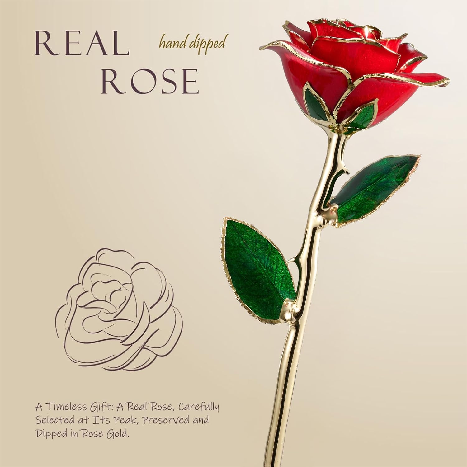 Gold Dipped Rose - Real Rose Preserved in 24K Gold with Stand, Forever Gift for Her, Mother's Day, Valentine's Day, Anniversary - Romantic Gift for Wife, Mom, Girlfriend - Red - Image 2