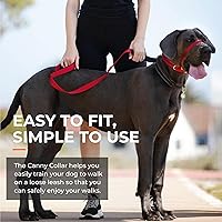 Vista 6 de Canny Collar de cabeza de perro sin tirones – Collar de entrenamiento suave para perro para tirar de la correa – Detiene tirones, fácil control