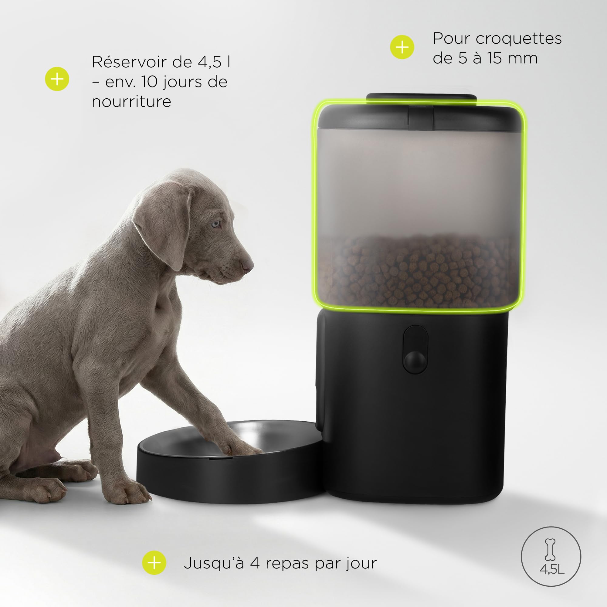 Crispy Distributeur Automatique de Nourriture pour Chien avec minuterie, jusqu'à 4 Repas, Alimentation de Secours avec Batterie, USB-C, écran LCD, gamelle en Acier Inoxydable, 4,5 L pour