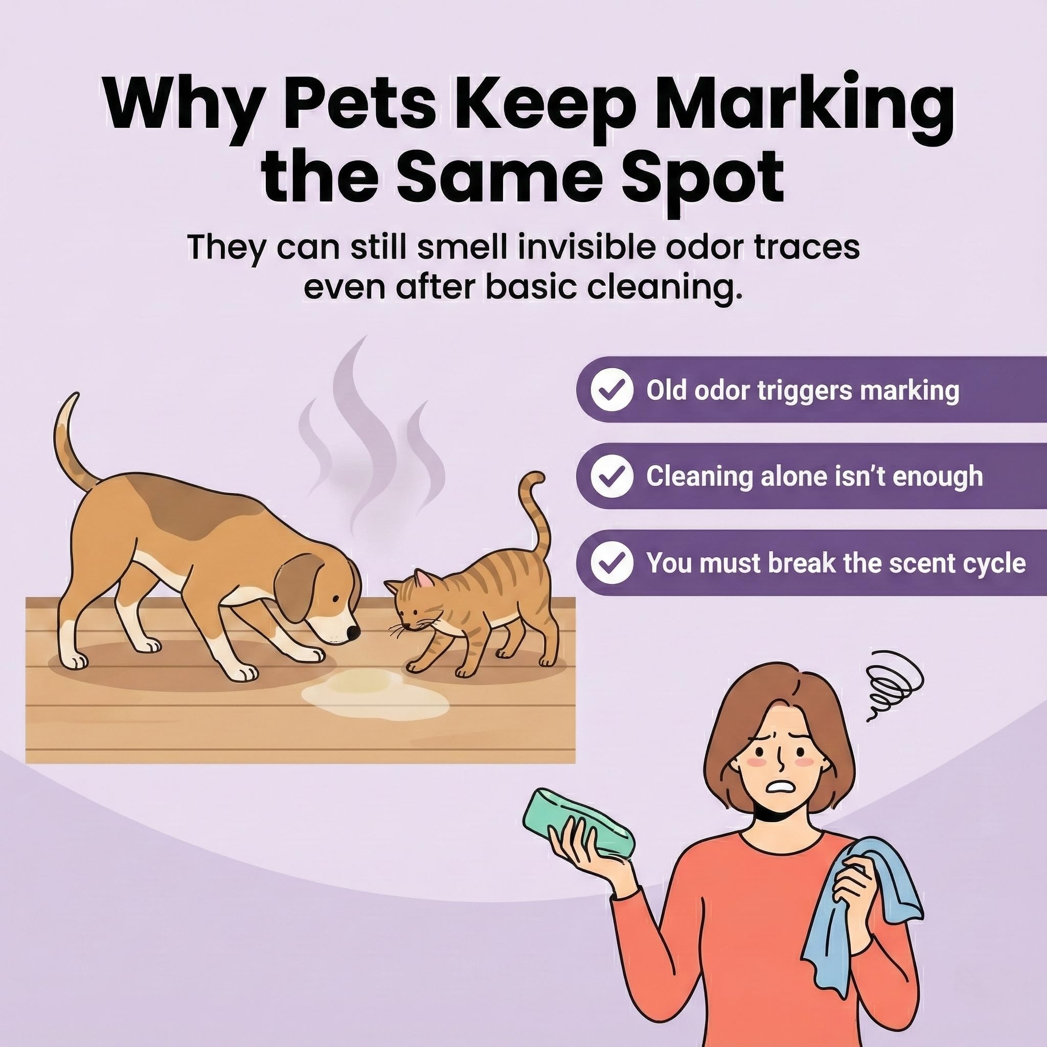 Stray Paws Mark No More Anti-Marking Spray for Cats | No Urine Marking & Pooping | Dual-Action Scent Reset & Deterrent | Indoor Use for Carpets, Floors & Furniture | 200 ml 1