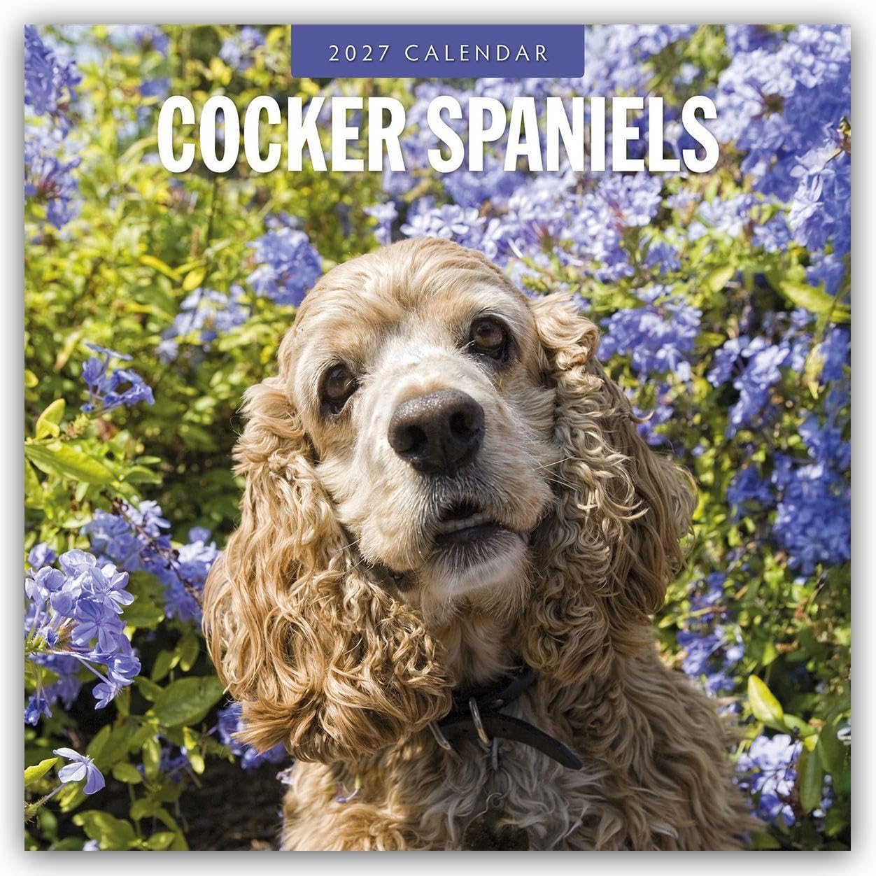 Cocker Spaniels 2027 Square Wall Calendar: Original Red Robin Publishing Ltd-Kalender [Mehrsprachig] [Kalender]