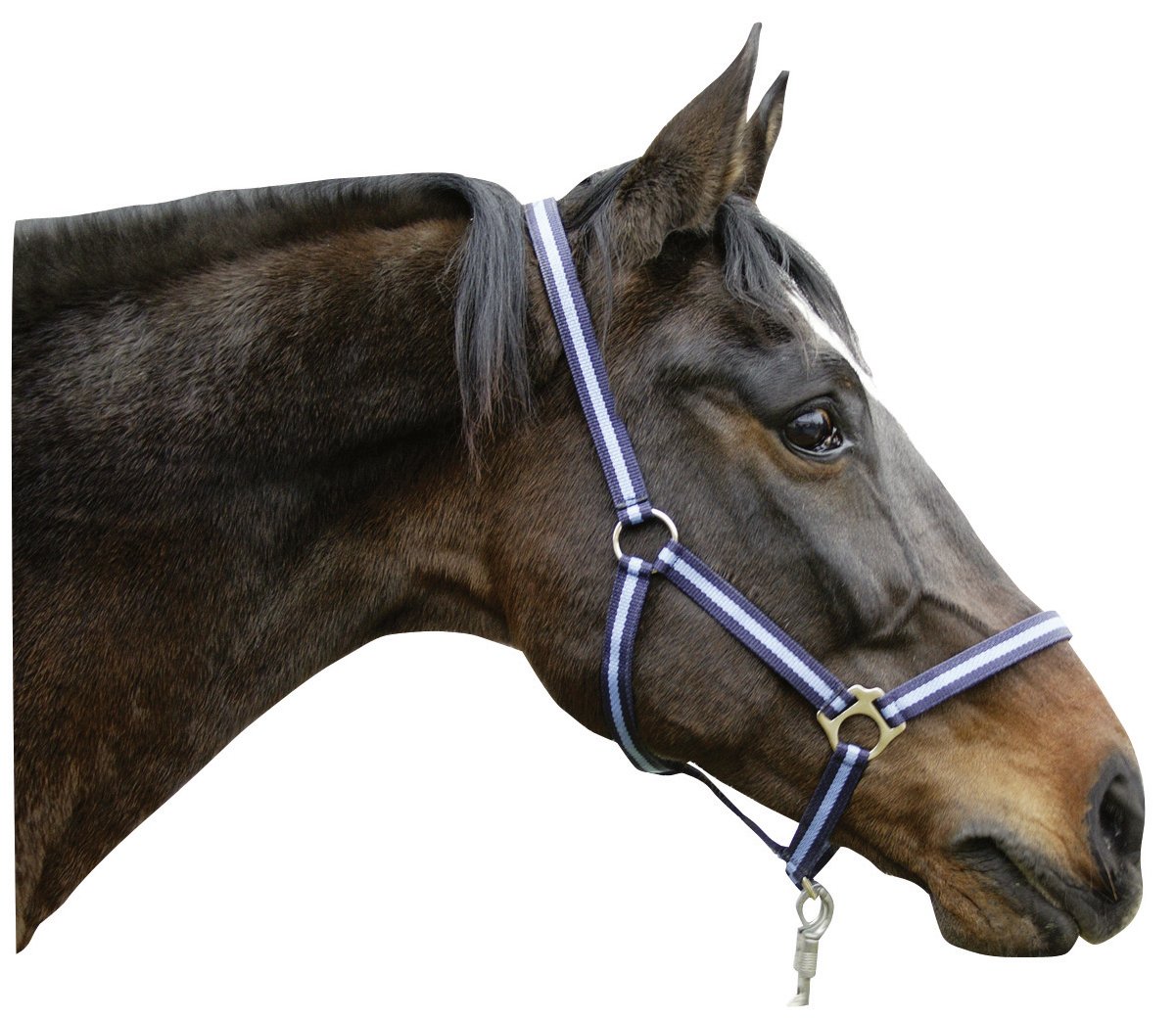 Kerbl Hippo Head Collar - Blue, Size 2