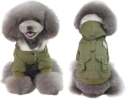 Gabardina cálida con capucha para perro, resistente al viento, para clima frío (XXL, verde)