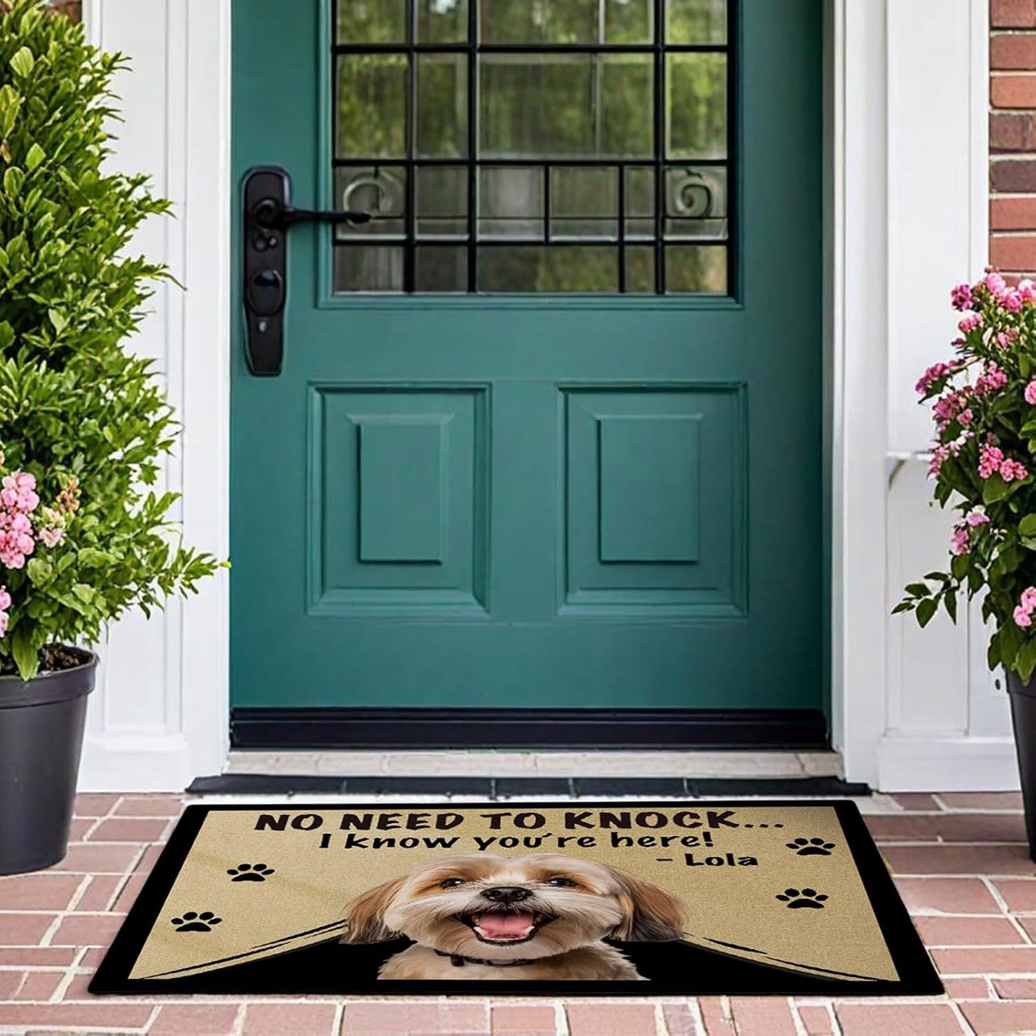 No Need to Knock I Know You're Here Welcome Doormat Golden Retriever Dog Decor Funny Customized Floor Rug for Dog Lover, 27.5x17.7 Inches