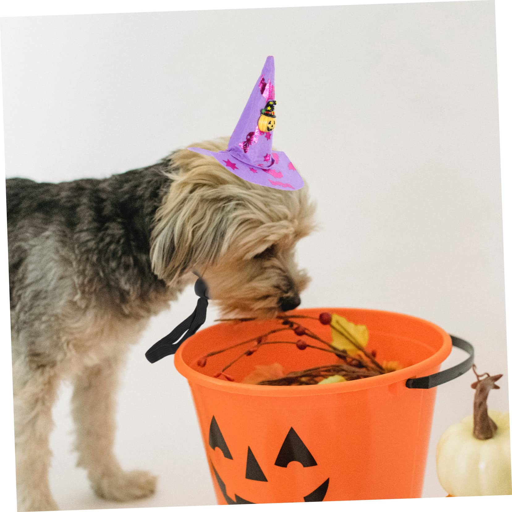 Kisangel 16stücke Teiliges Von Dekorativen Halloween-Witch-hüten Für Haustiere Vielseitige Katzen Und Hundezubehör Für Festlichkeiten Und Cosplay Leicht Bequem Und Auffällig