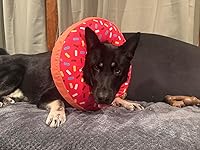 Review Image by Kindle Customer